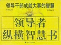 领导者纵横智慧书(全13册) (平装)