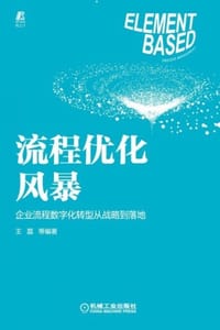 流程优化风暴：企业流程数字化转型从战略到落地