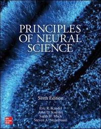 Principles of Neural Science