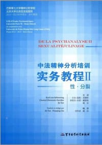 中法精神分析培训实务教程2